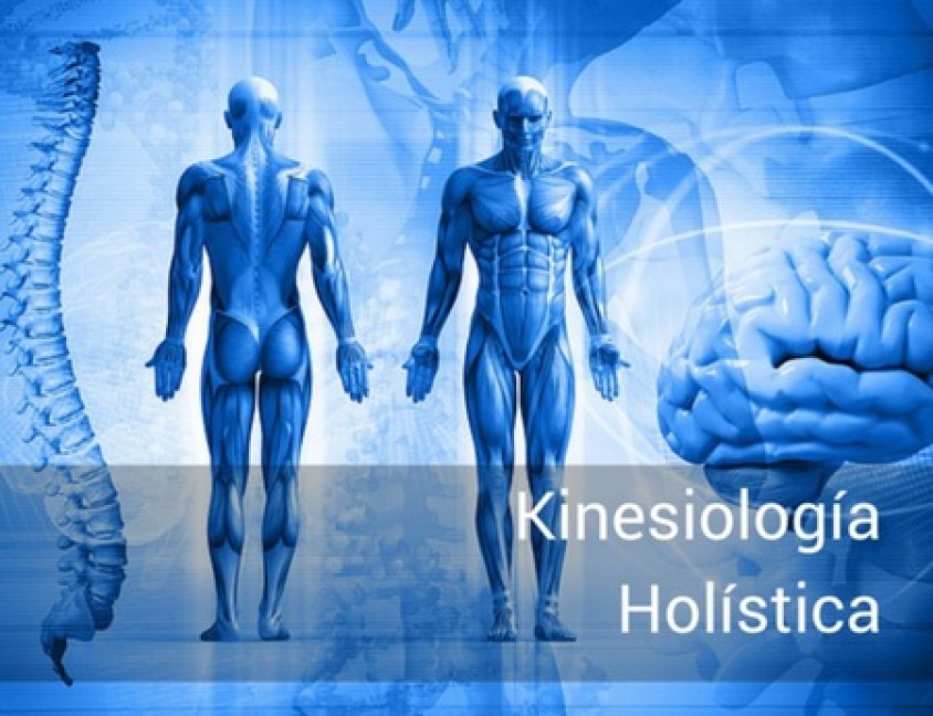 gallery/_files-200000143-a895ea8960-450-2238-kinesiologia-holistica